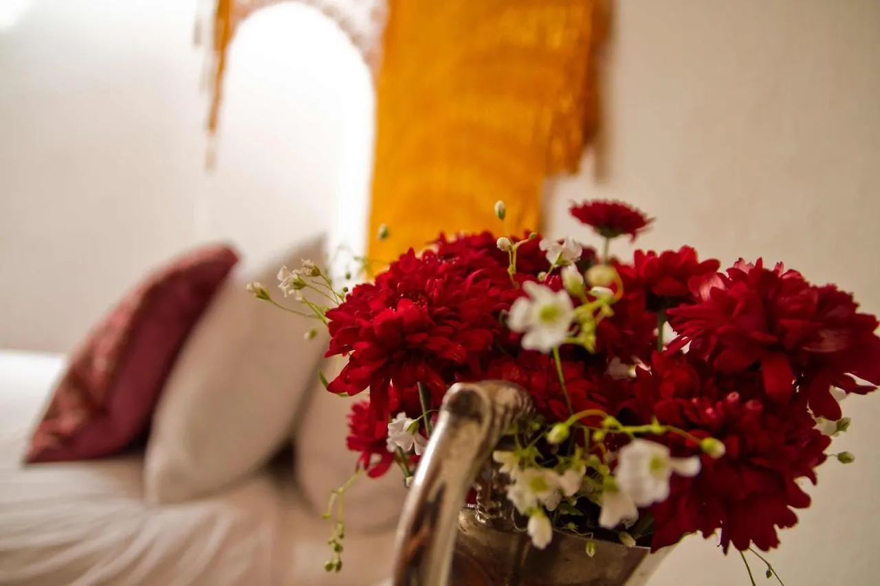La Casa Del Naranjo Hotel Boutique Queretaro