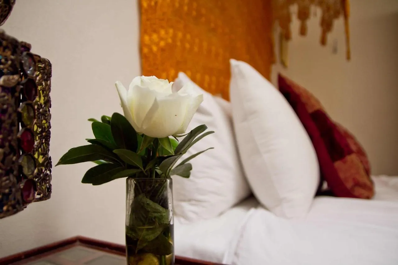 La Casa Del Naranjo Hotel Boutique Querétaro Bed & Breakfast